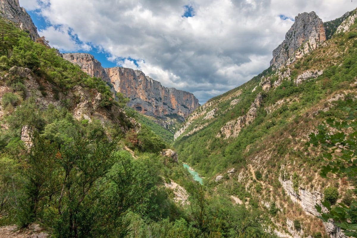 Faune et flore des gorges de la Méouge
