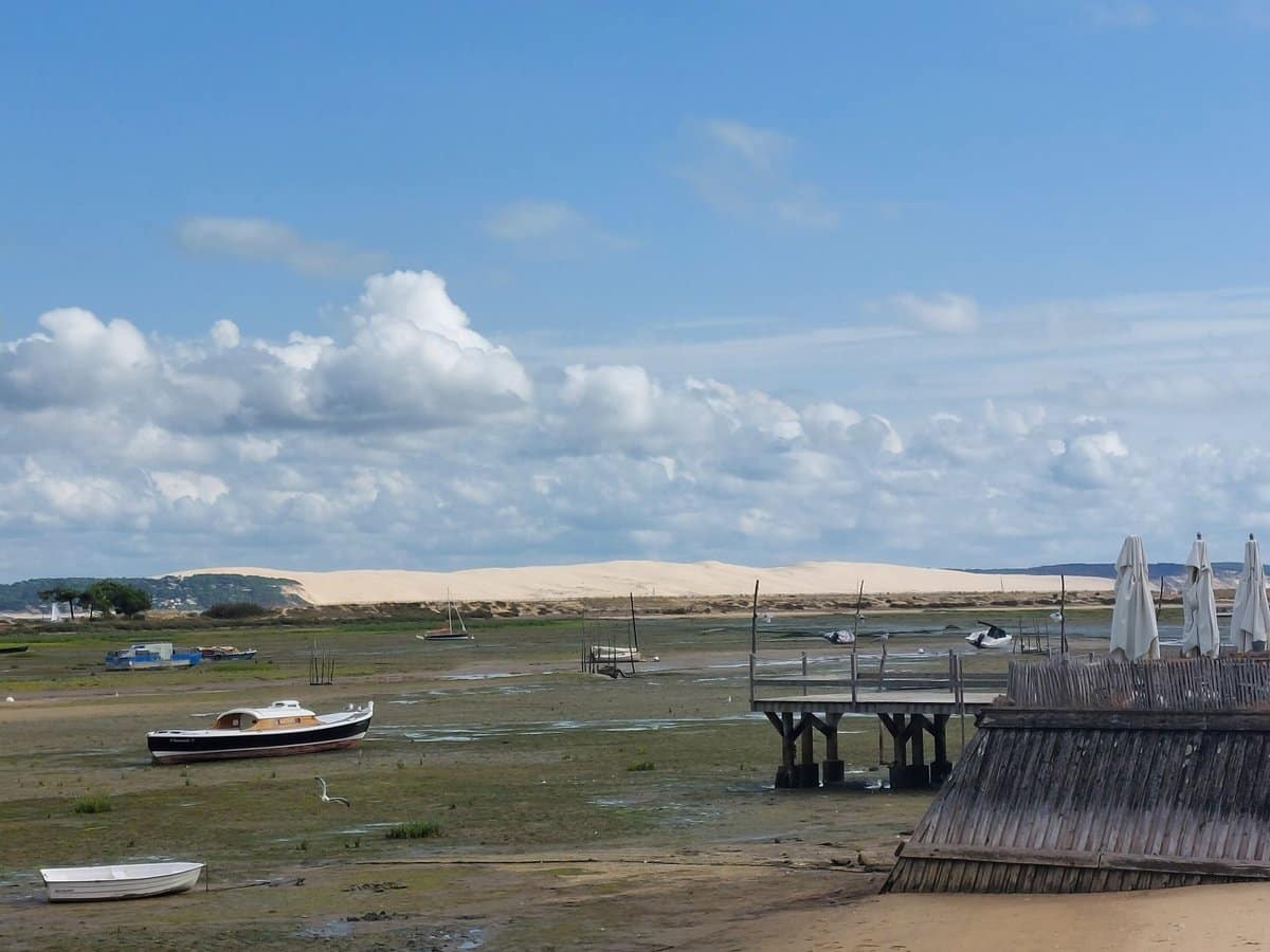 Guinguette des bords de Loire : ambiance et gastronomie au bord de l'eau