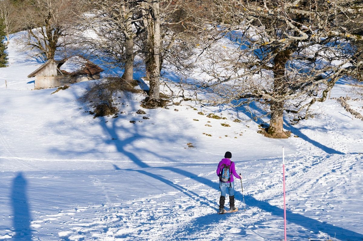 Les activités hivernales à la Sambuy