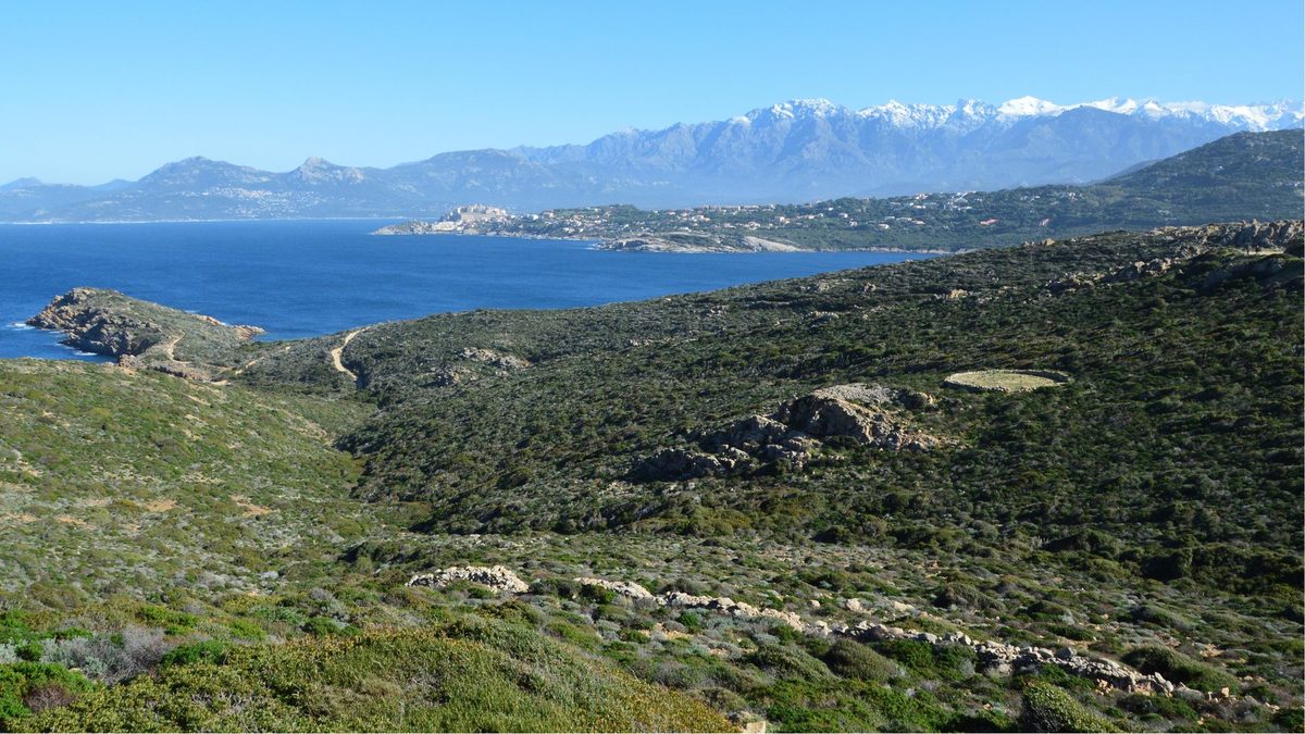 Les paysages et la faune